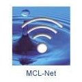 INTERMEC BRANDED MCL NET LIC 1 00 LICENSES----SEE NOTES